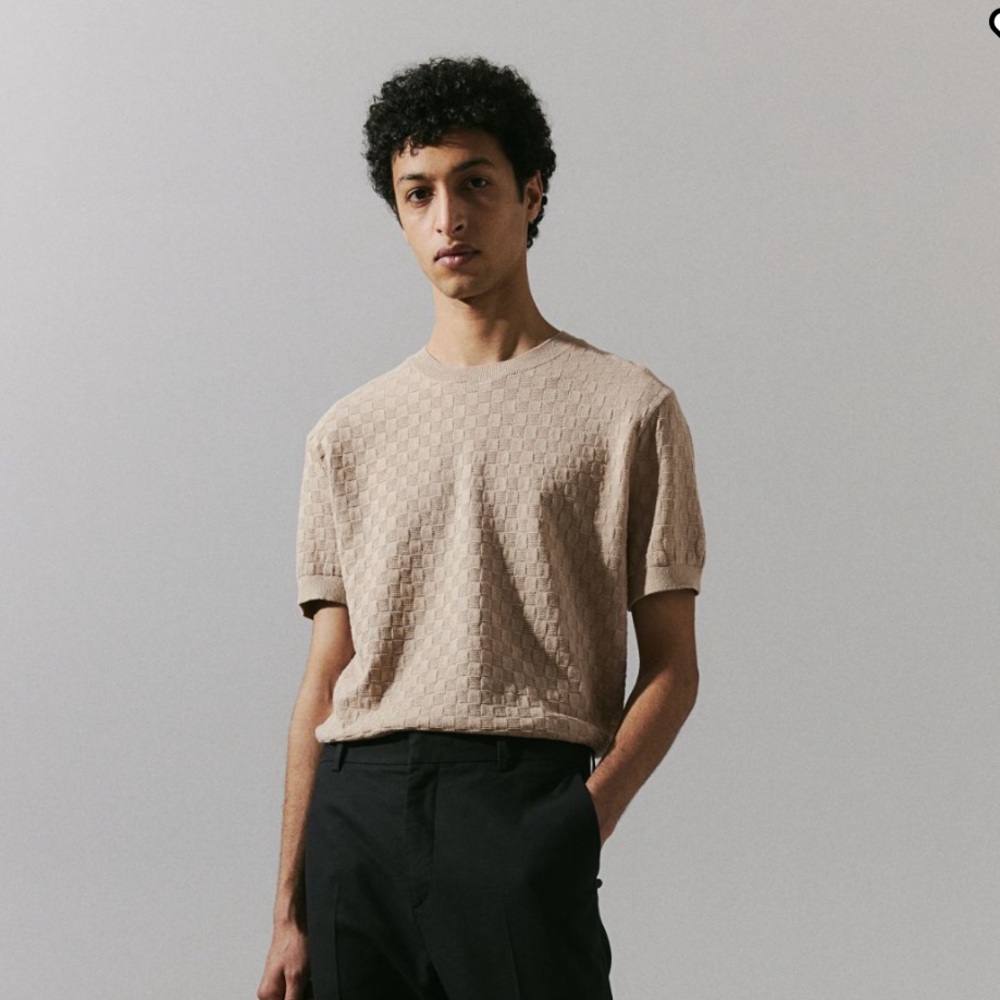 H&M NWT Beige Regular-Fit Pattern Knit Short Sleeve Sweater